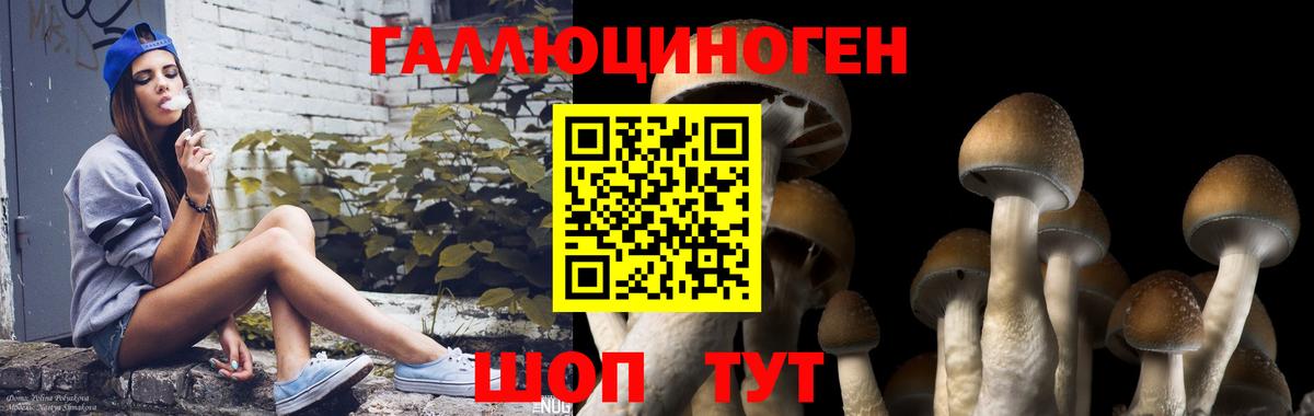 Псилоцибиновые грибы MAGIC MUSHROOMS Красноперекопск